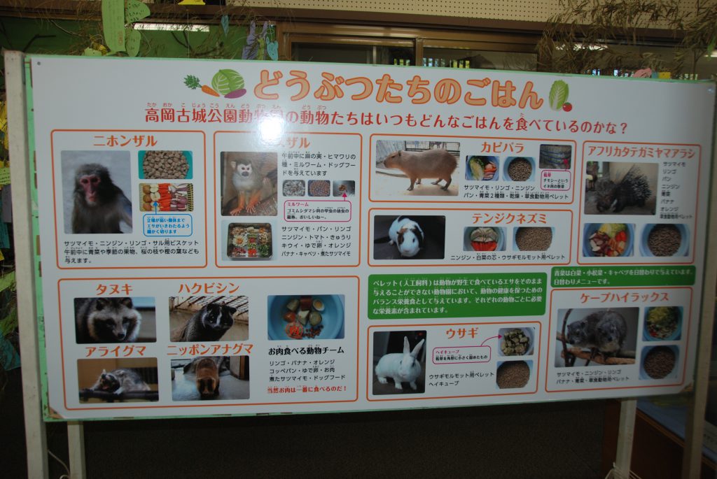 夏の特別展『どうぶつたちのごはん』開催中です。