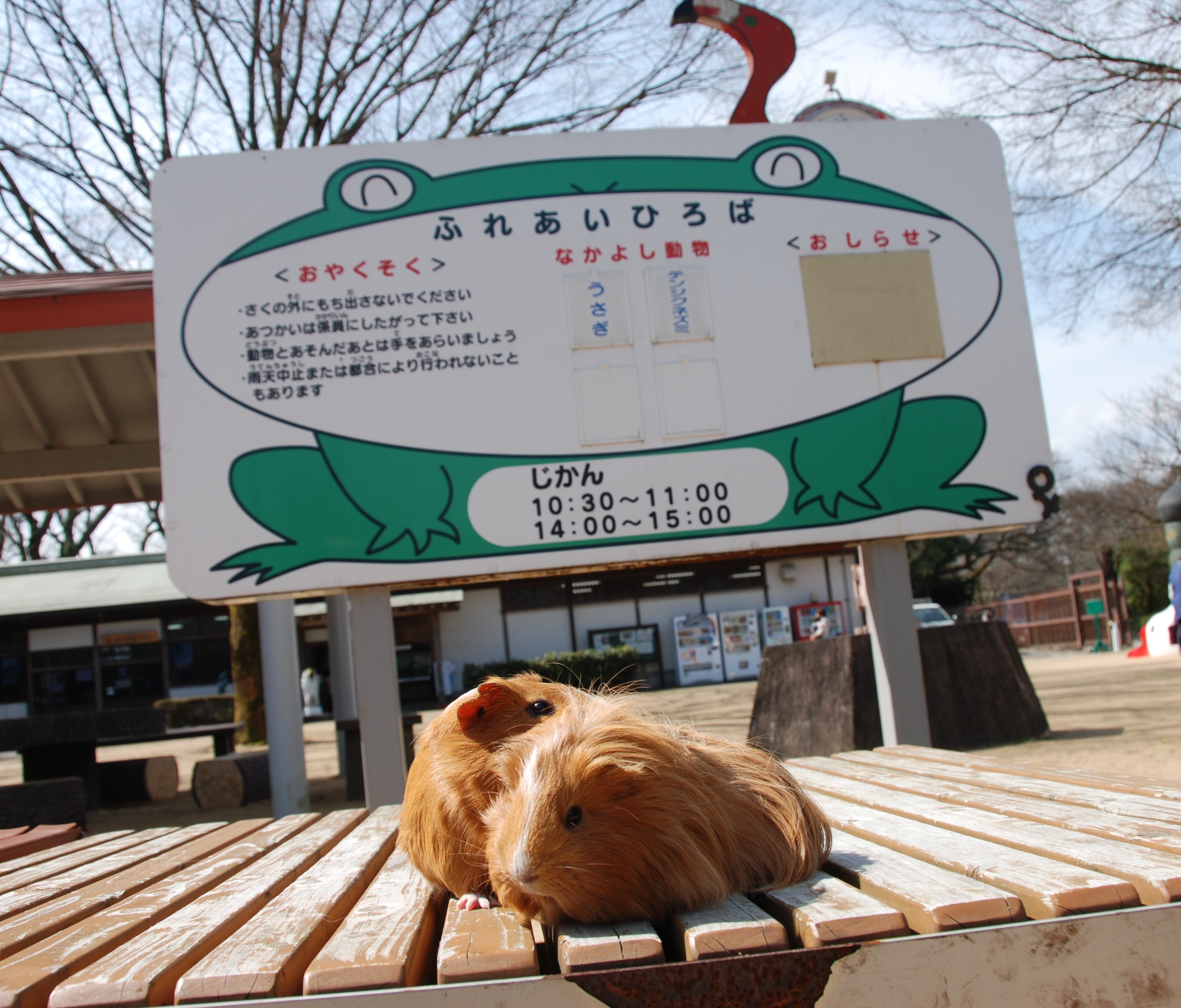 ふれあい広場
