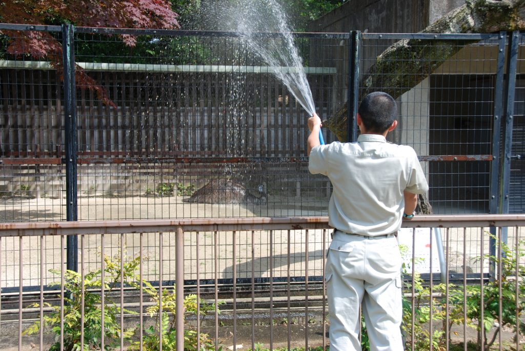 今日も暑いです。