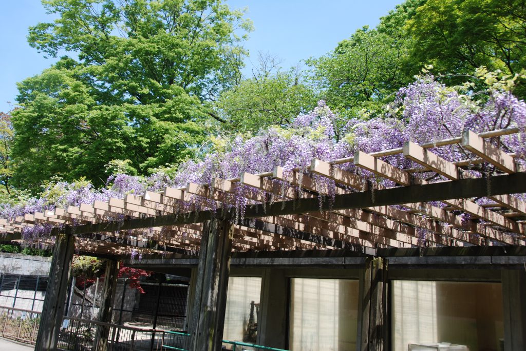 今日の動物園は・・・
