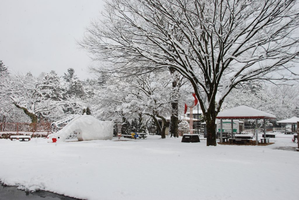 雪⛄