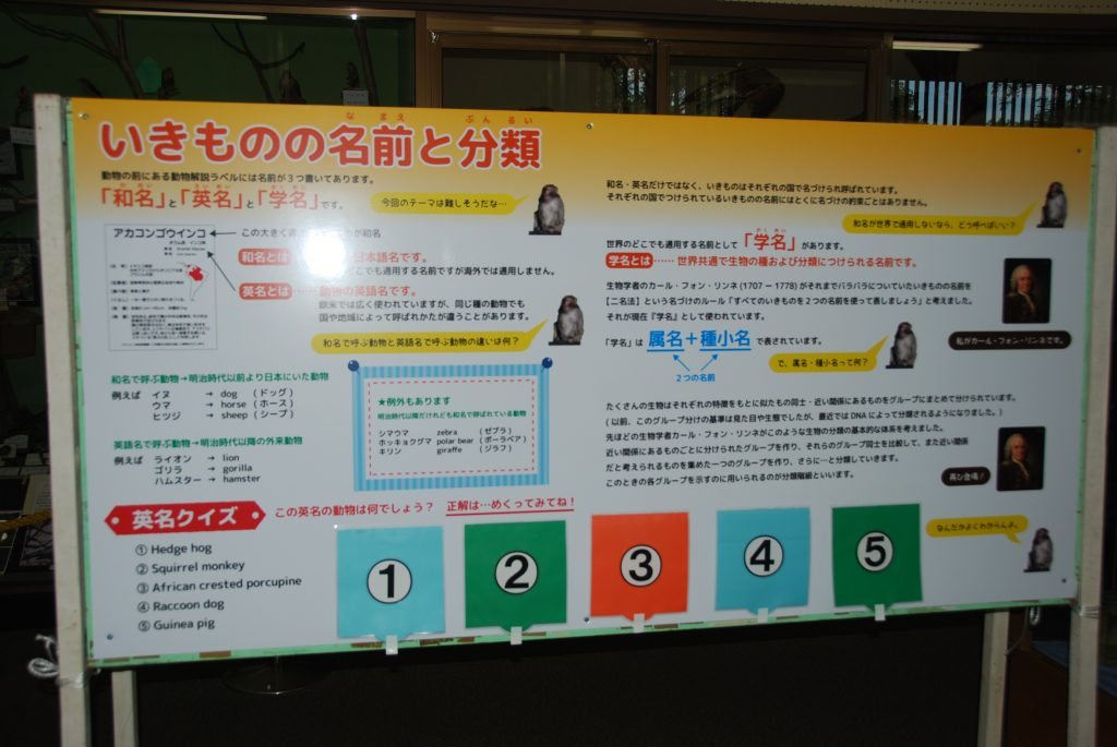 特別展