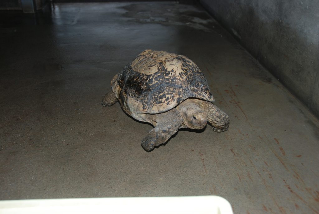 室内にて