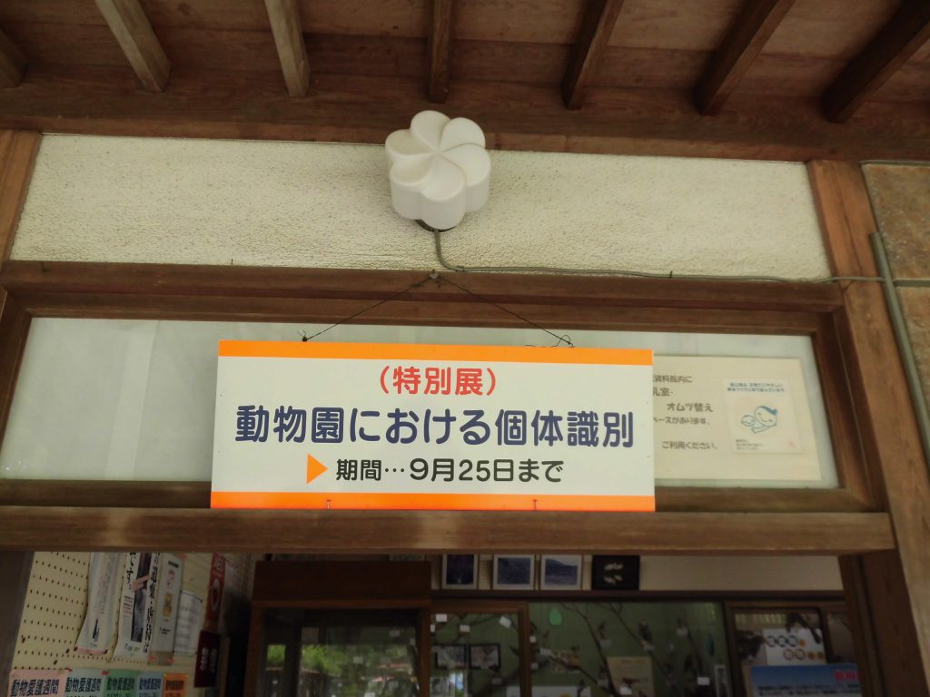 特別展、やってます。
