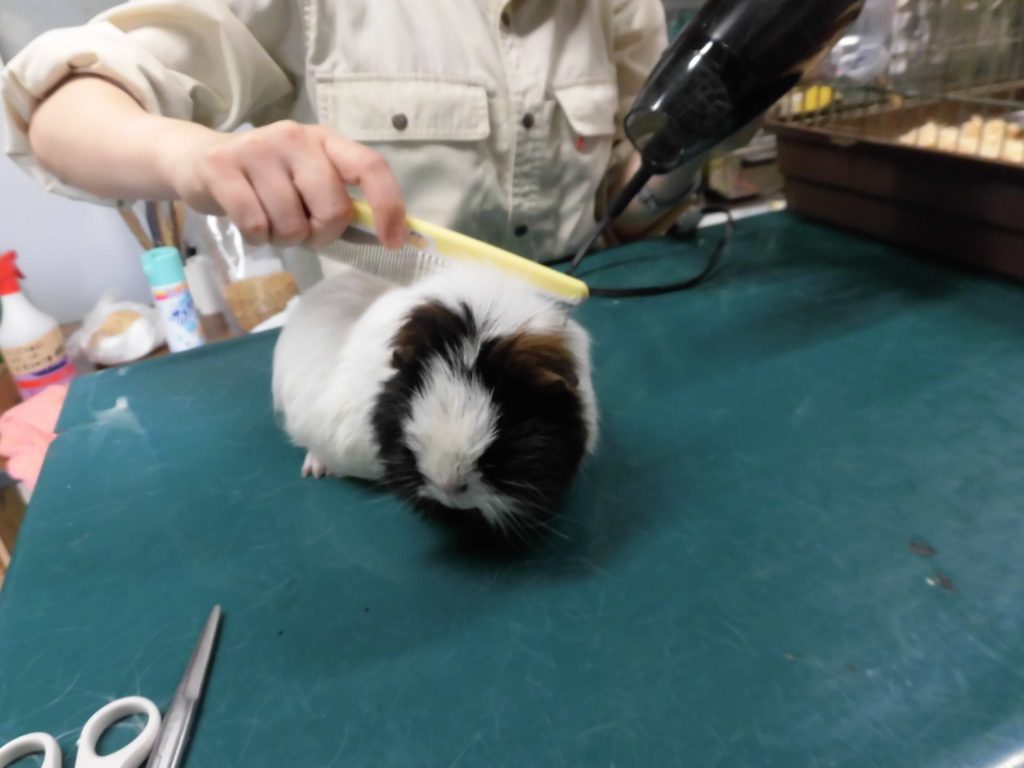 待ってるよ！