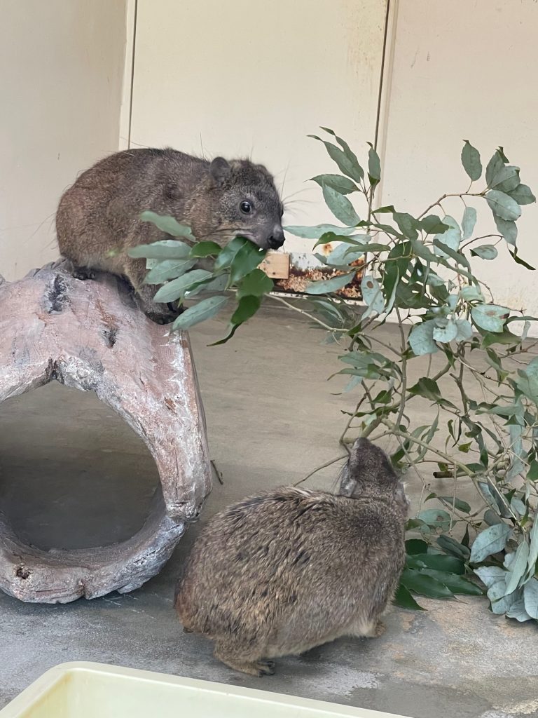 食。