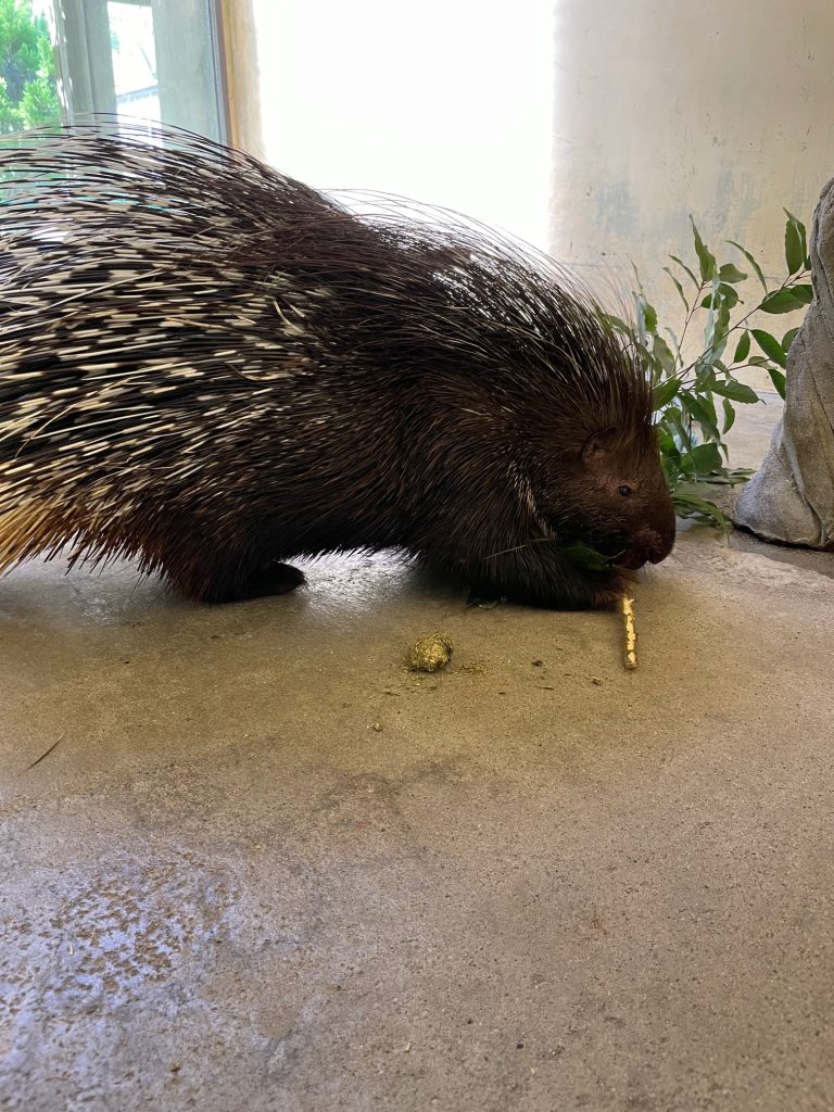 暇つぶし？