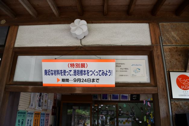 特別展はじまりました。
