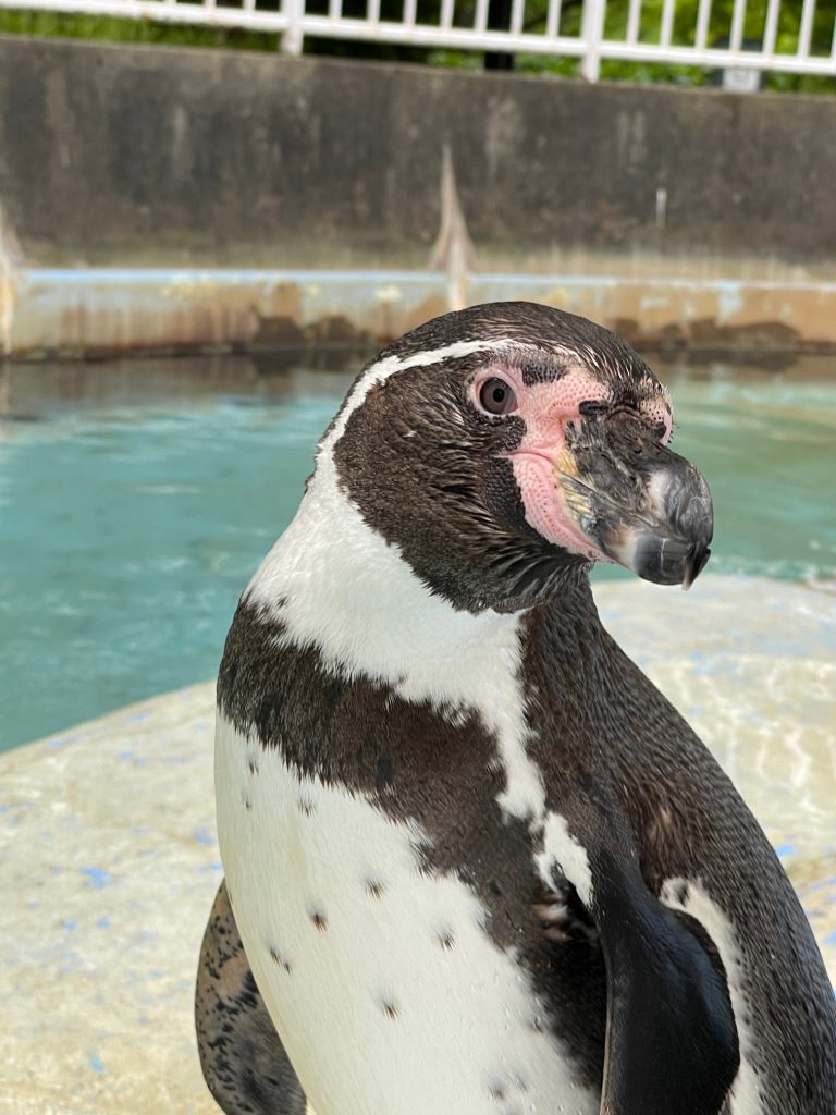 本日の１枚