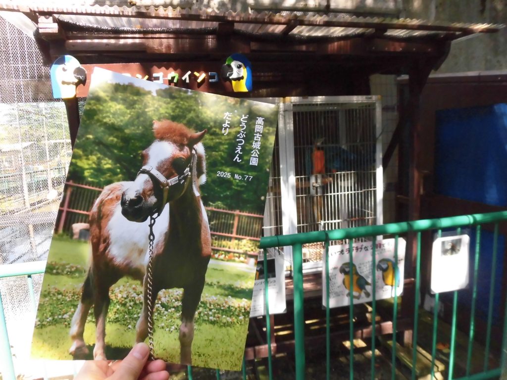 どうぶつえんだより77