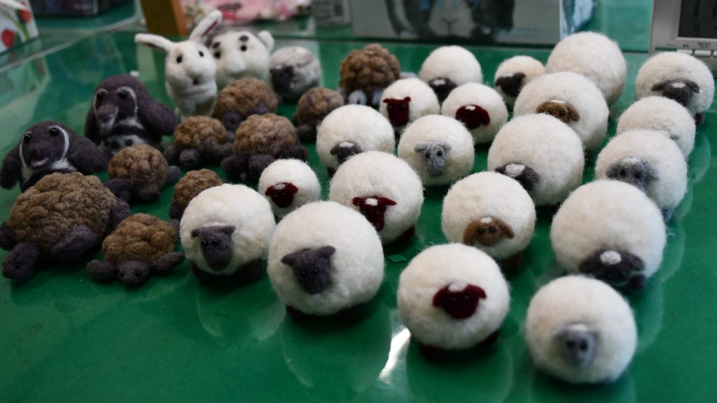９月２３日（火・祝）は動物園まつりです。