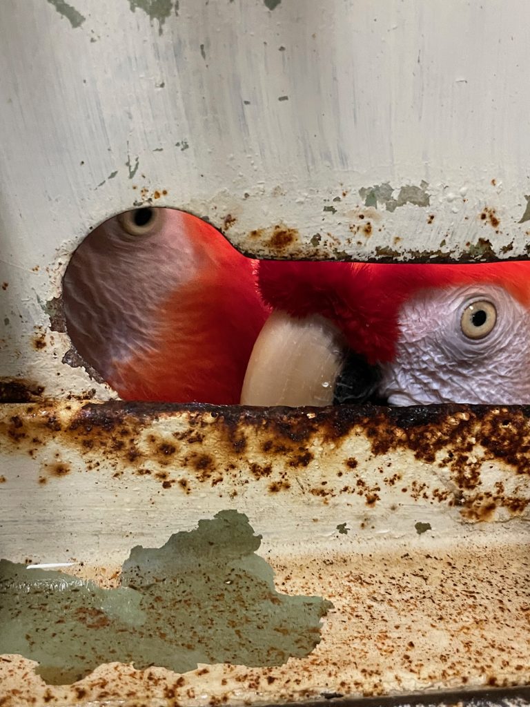 ヒト観察中・・・