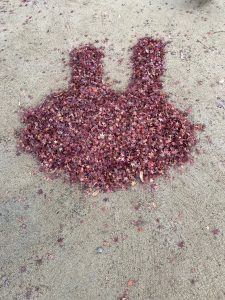 動物園でこんな遊びはどうですか？