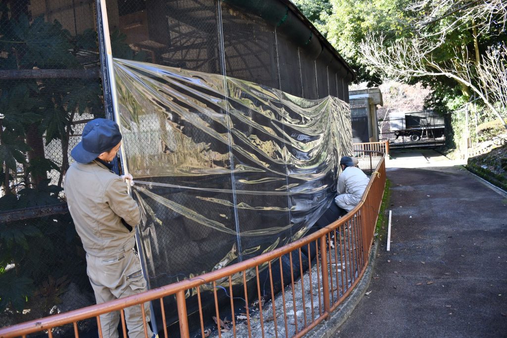 獣舎の雪囲いはじまりました！