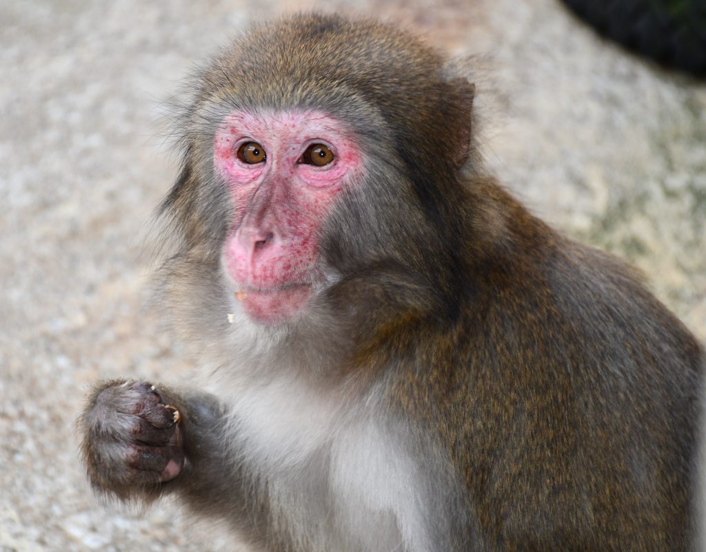 どんぐりBOXのお礼