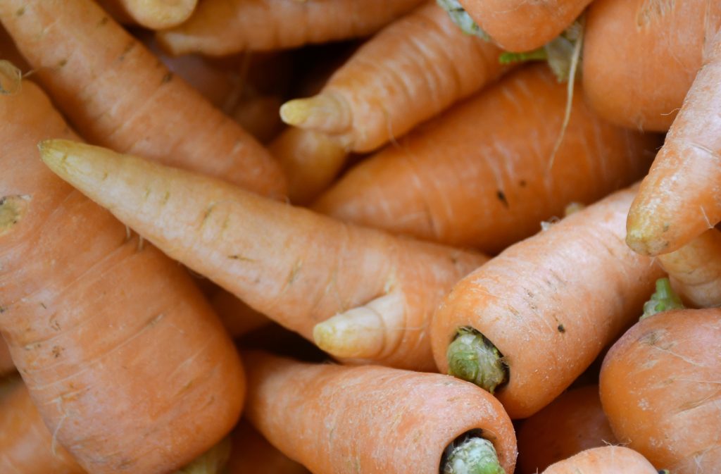 人参パーティー