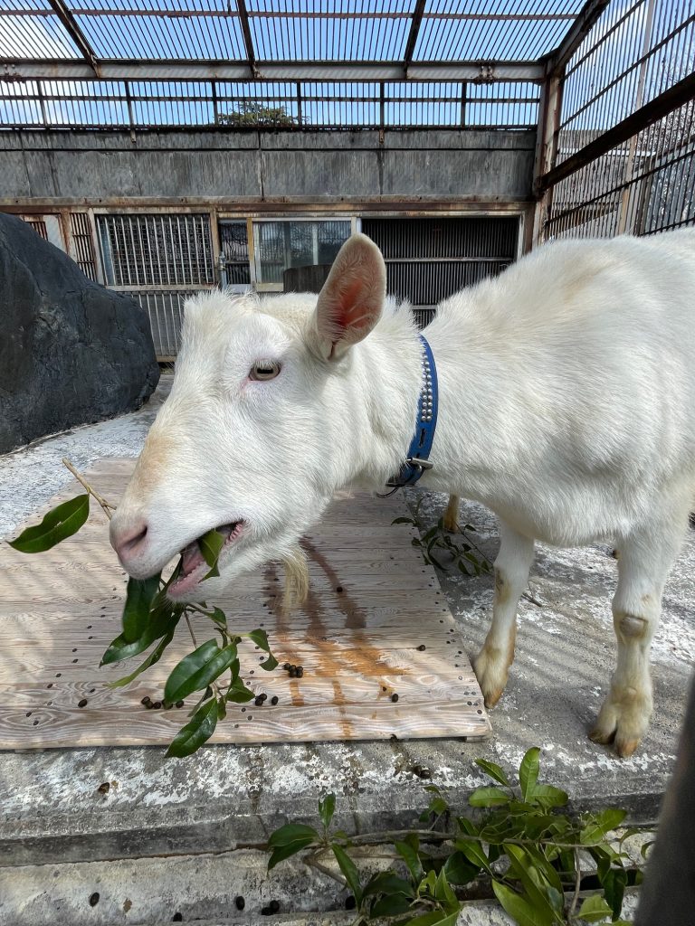 3月にはいりましたね